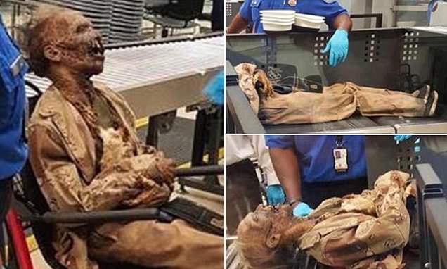 Jasad Membusuk di Mesin X-ray Gegerkan Bandara Atlanta AS